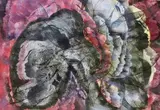 Mbali Tshabalala, Rise Again, mixed media, screen and hand print