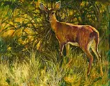 Steenbok by Zakkie Eloff, oil on canvas, sold Jun 2019