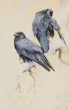 Pair of Ravens in Falling Snow by David Ord Kerr, watercolour on paper, sold Jun 2019