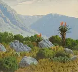 Jan Ernst Abraham Volschenk, Where the Aloe Grows near the Langeberge, Riversdale