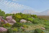 Jan Ernst Abraham Volschenk, A Riversdale Landscape – Rock, Bush and Aloe
