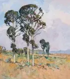 Conrad Theys, Bloekombome naby Paarl (Bluegum Trees near Paarl), oil on canvas