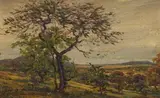 Erich Mayer, Highveld, oil on board