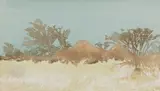 Adolph Jentsch, Omatako Koppie (Namibia)