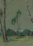 Nita Spilhaus, View of Trees