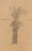 Palm Tree by Wolf Kibel, pencil on paper, offered Jul 2019