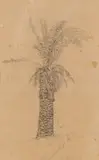 Wolf Kibel, Palm Tree