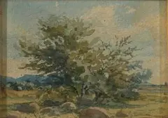 Tree by Erich Mayer, watercolour on paper, sold Jul 2019