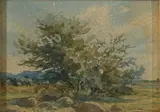 Erich Mayer, Tree