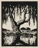 Wilgerboom in die Somer (Nilant 79) by Jacobus Hendrik Pierneef, linocut, sold May 2019