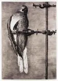 William Kentridge, Bird Catcher, archival pigment print