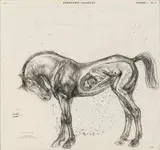 Diane Victor, Afrikaanse Taalatlas, charcoal on found paper