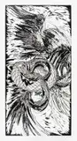 Wim Botha, Dragon