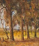 Pieter Wenning, Blue Gums, Pretoria, oil on canvas