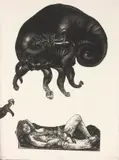 Float (part of the Printexchange Portfolio '98) by Diane Victor, etching and embossing on paper, offered Mar 2019