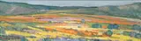 Spring Bitterfontein (Namaqualand) by Piet van Heerden, oil on board, sold Mar 2019
