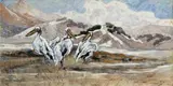 Arnfried Blatt, Pelicans, oil on canvas