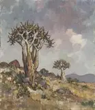 Conrad Theys, Kokerbome