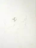 Judith Mason, Monkey Creating Aphrodite, pencil on paper