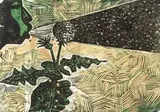 Peter Clarke, Thistle Down, colour linocut
