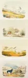 William Cornwallis Harris, XXVII. 1. Phacochoerus Africanus: The African Wild Boar. 2. Redunca Eleotragus: The Reitbok (sic); VI. Boselaphus Oreas: The Eland; XVIII. Aigocerus Equina: The Roan Antelope; XXIII. Aigocerus Niger:, photolithographs