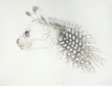 Judith Mason, Muse by Day, lithograph in colours