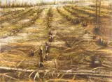 Kim Berman, Stripped Lowveld Plantation II, seven colour lithograph
