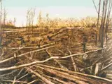 Kim Berman, Stripped Lowveld Plantation I, seven colour lithograph