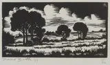 David Botha, Landscape, linocut