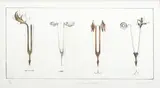 Lyn Smuts, Silence and Vibration I, lithograph