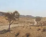 Ben Coutouvidis, Namibian Scene