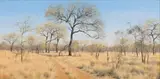 Francois Koch, Bushveld Scene, oil on canvas
