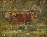 Harry Fidler, Cows