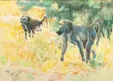 Baboons by Zakkie Eloff, watercolour on paper, offered Oct 2018