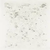 Richard Forbes, Quiet Revolution series - Artist Proof Studio, etching