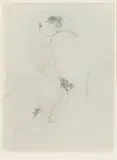 Judith Mason, Vulture, colour lithograph