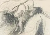 Joachim Schönfeldt, Peacock and Cat Study, pencil on paper