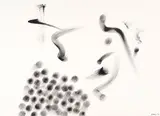They Comet Again 5 by Kemang Wa Lehulere, ink on paper, sold Feb 2019