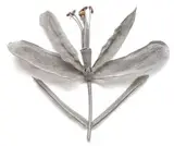 Walter Oltmann, Disarticulated Flower, aluminium wire, copper wire and drawing pins