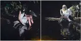 Matthew Hindley, Diamond Diamond, Shinin' Shinin', diptych