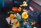 Mohn by Wolfgang Tillmans, chromogenic print, sold Feb 2019