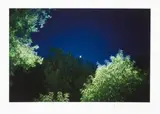 Jo Ratcliffe, Night, colour photograph