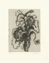 Iris by William Kentridge, etching, sold May 2018