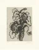 William Kentridge, Iris, etching
