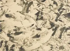 John Moore, Ascension, two colour lithograph