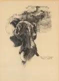 Ezrom Legae, Head of an Elephant, charcoal on paper