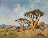 Conrad Theys, Ou Kokerbome, Kamieskroon