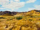 Walter Meyer, Namib, with Euphorbia