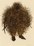 Walter Oltmann, Bristle Suit, ink and bleach on hand-made paper