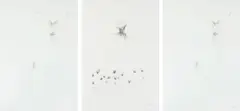 Scarecrow, triptych by Judith Mason, pencil on card, offered Nov 2018